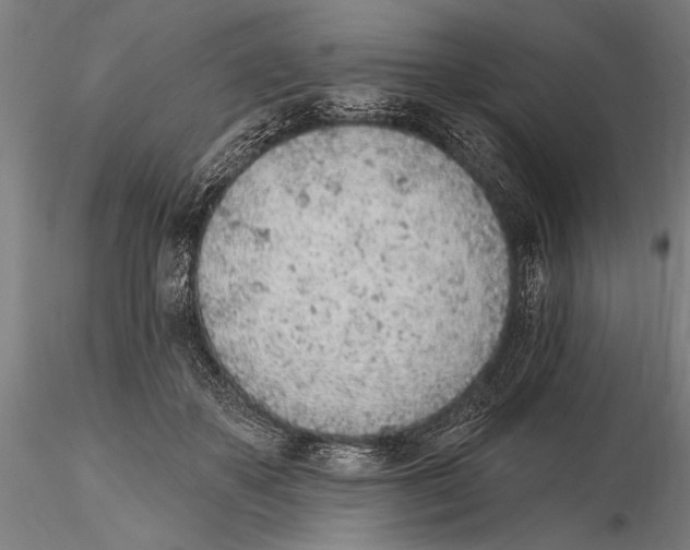 X0000115380507200912011209