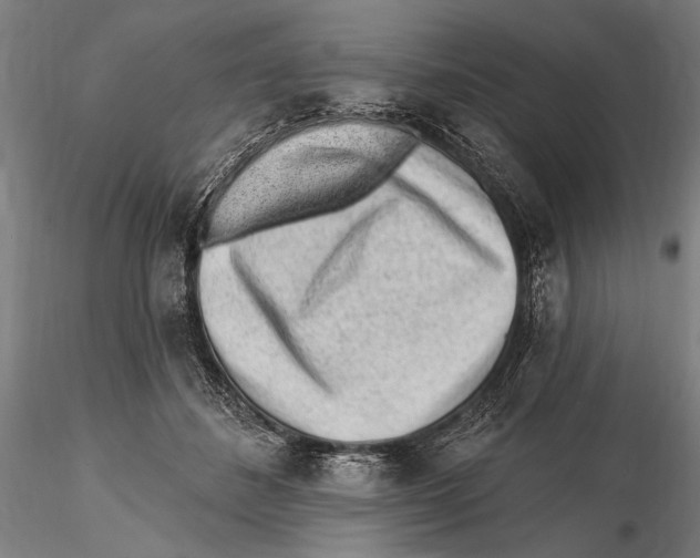 X0000115380508200912011209