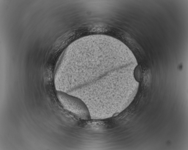 X0000115380517200912011209