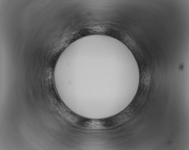 X0000115380518200912011208