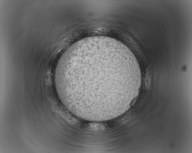 X0000115380520200912011208