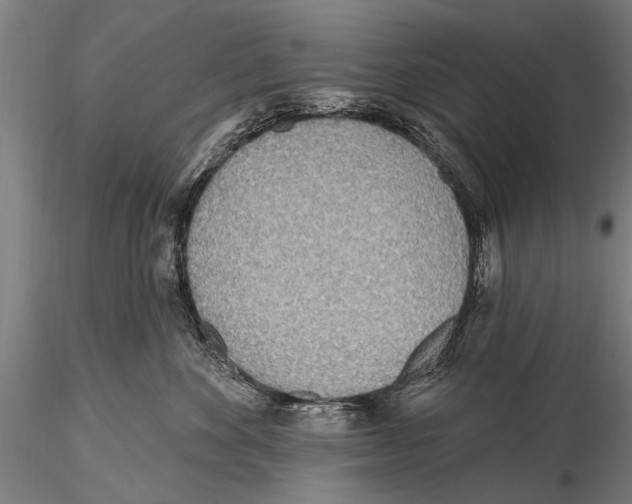 X0000115380524200912011208