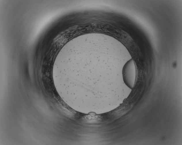 X0000115380526200912011208