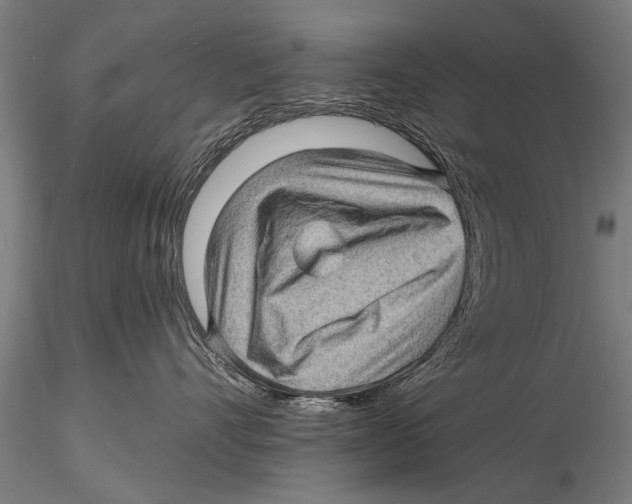 X0000115380528200912011208