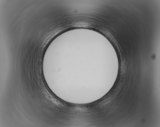 X0000115380529200912011208