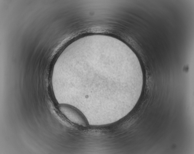 X0000115380530200912011208