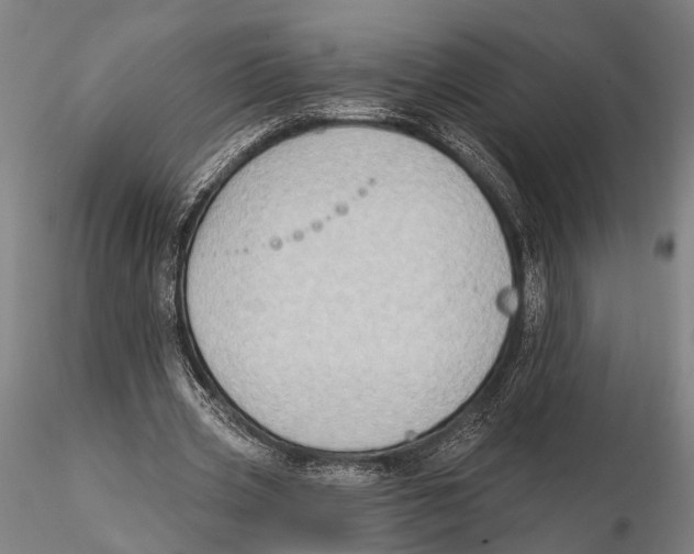 X0000115380533200912011208