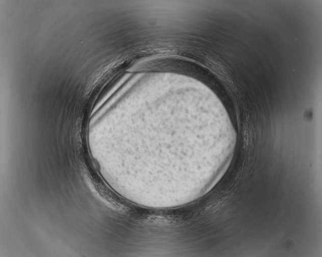 X0000115380538200912011208