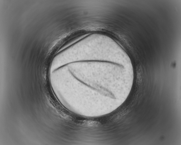 X0000115380539200912011208