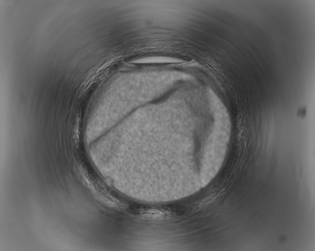 X0000115380542200912011208