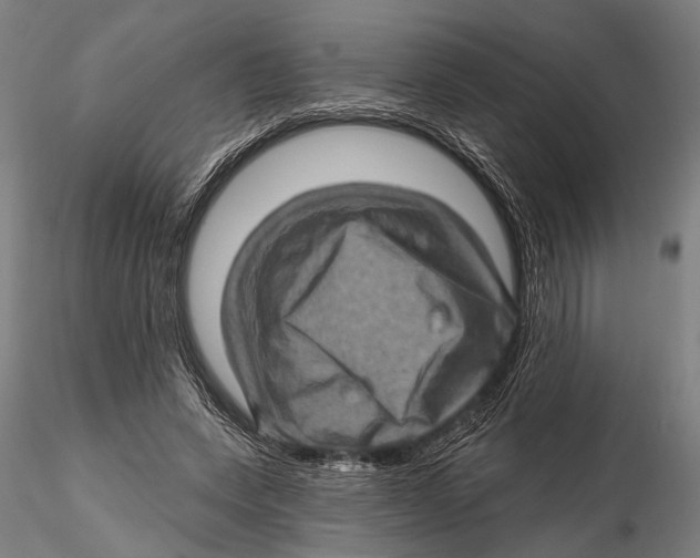 X0000115380543200912011208