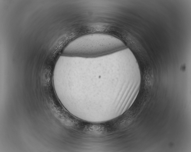 X0000115380546200912011208