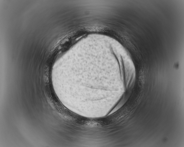 X0000115380547200912011208