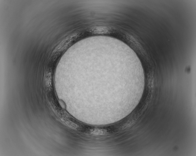 X0000115380549200912011208