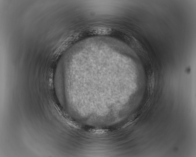 X0000115380553200912011208