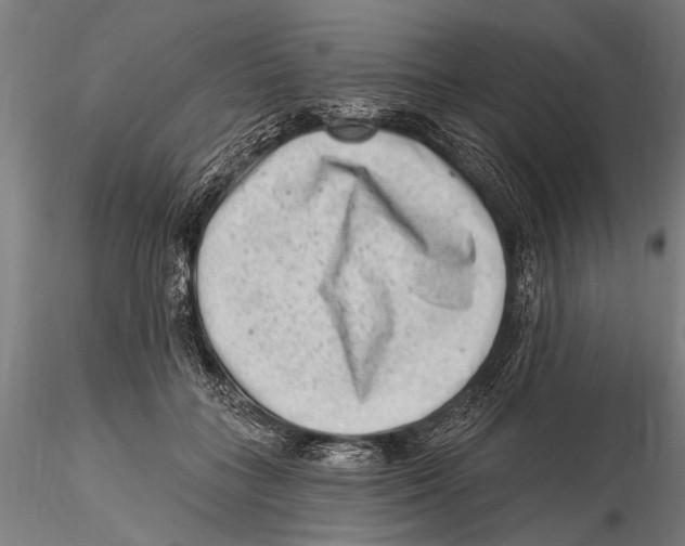 X0000115380555200912011208