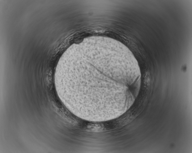 X0000115380559200912011208