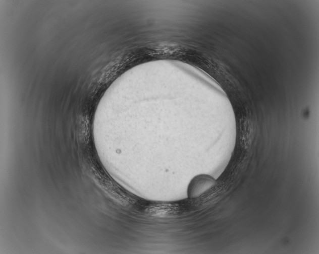 X0000115380563200912011208