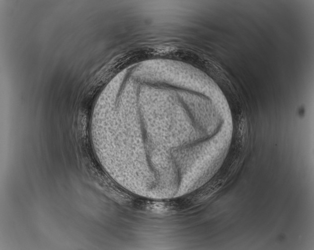 X0000115380565200912011208