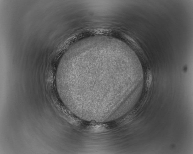 X0000115380569200912011208