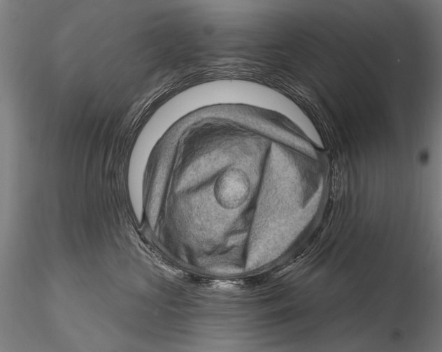 X0000115380573200912011208