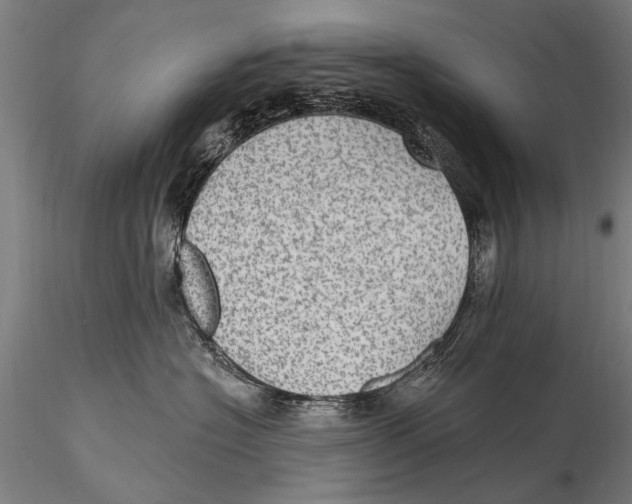 X0000115380574200912011208