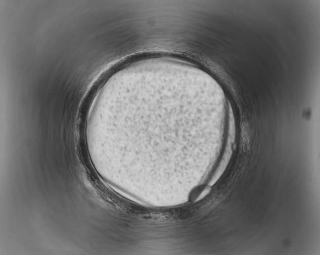 X0000115380580200912011207