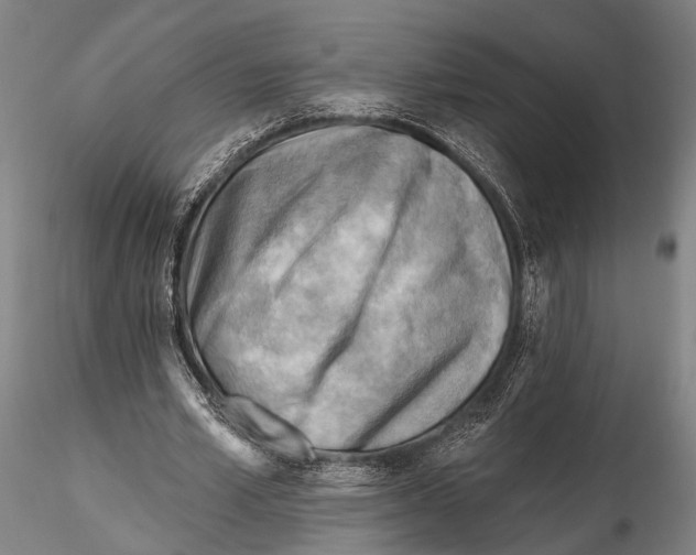 X0000115380581200912011207