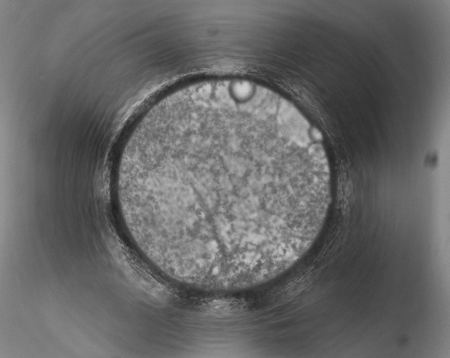 X0000115380584200912011207