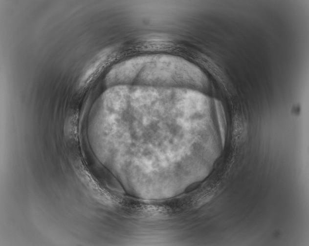 X0000115380585200912011207