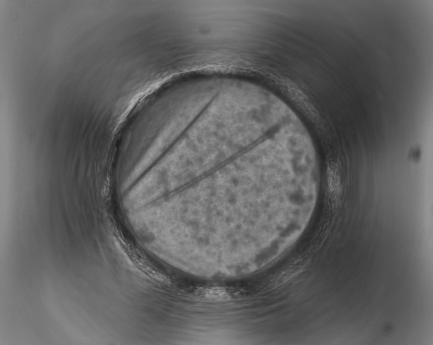 X0000115380588200912011207