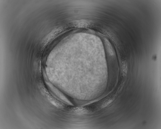 X0000115380589200912011207