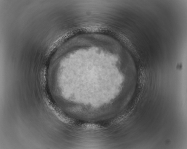 X0000115380590200912011207