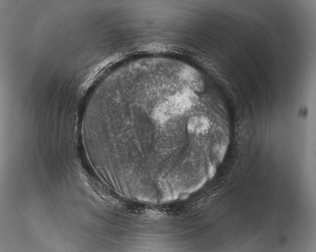 X0000115380592200912011207