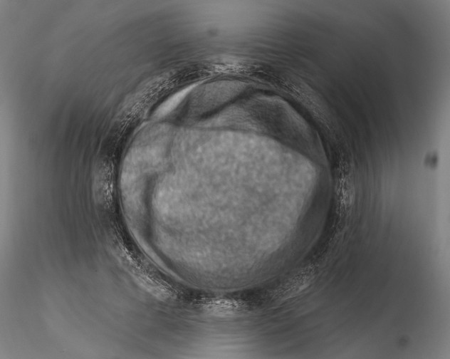 X0000115380593200912011207