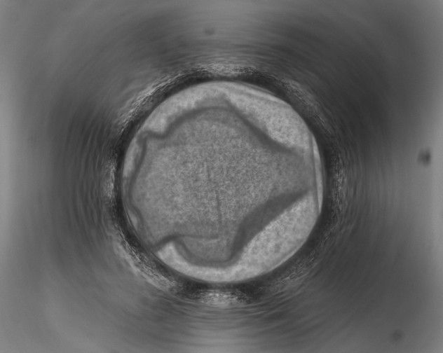 X0000115380596200912011207