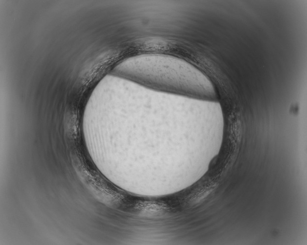 X0000115380597200912011207