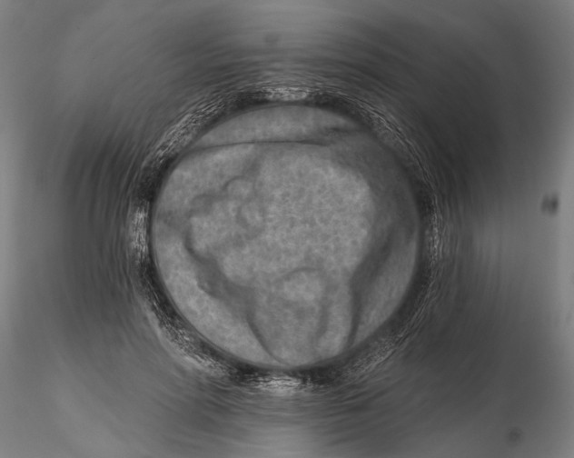 X0000115380598200912011207