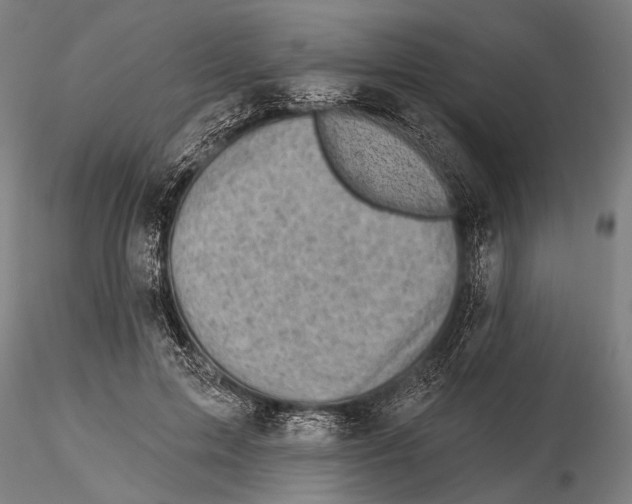 X0000115380599200912011207