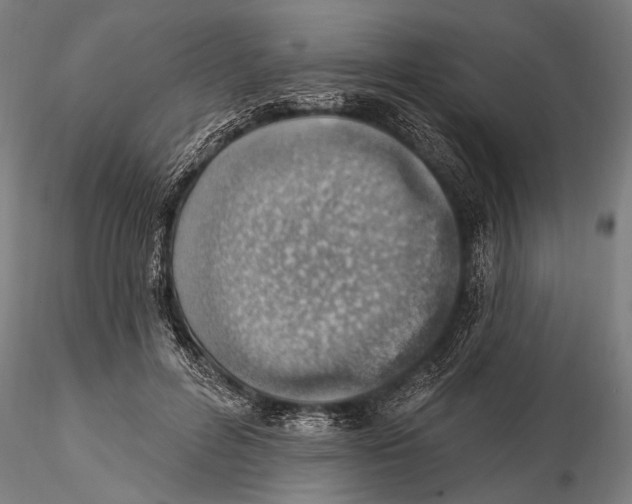 X0000115380600200912011207