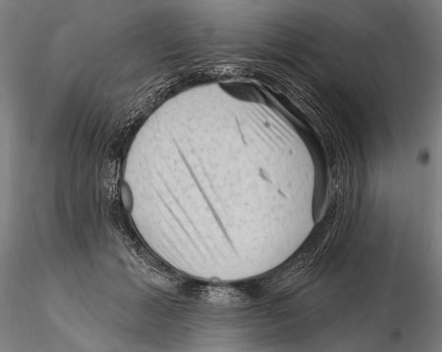 X0000115380605200912011207