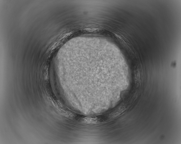 X0000115380606200912011207