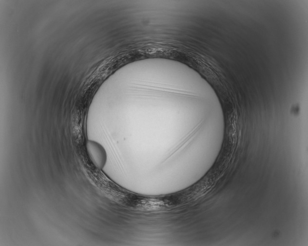 X0000115380607200912011207