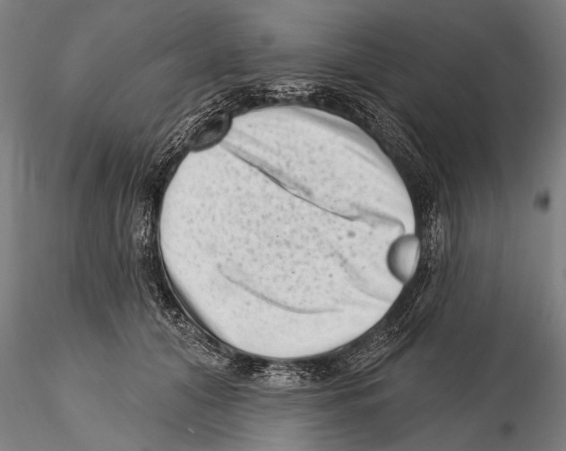 X0000115380608200912011207