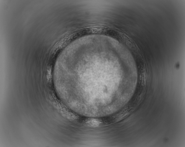 X0000115380610200912011207