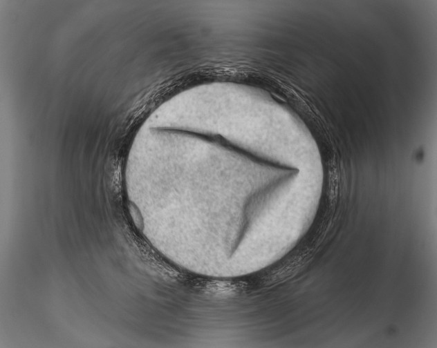 X0000115380613200912011207