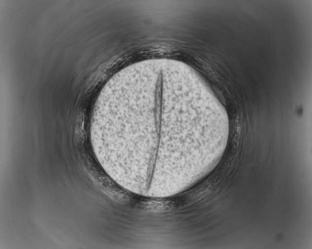 X0000115380615200912011207