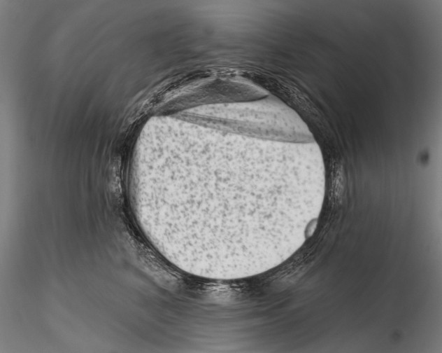 X0000115380616200912011207