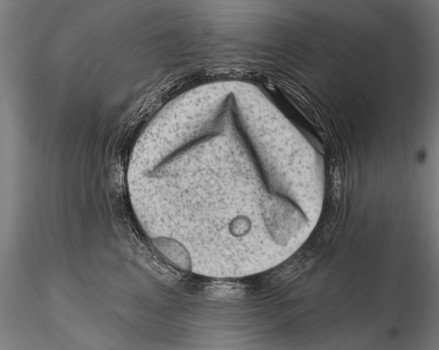 X0000115380617200912011207