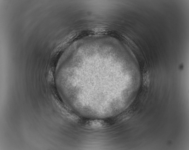 X0000115380618200912011207